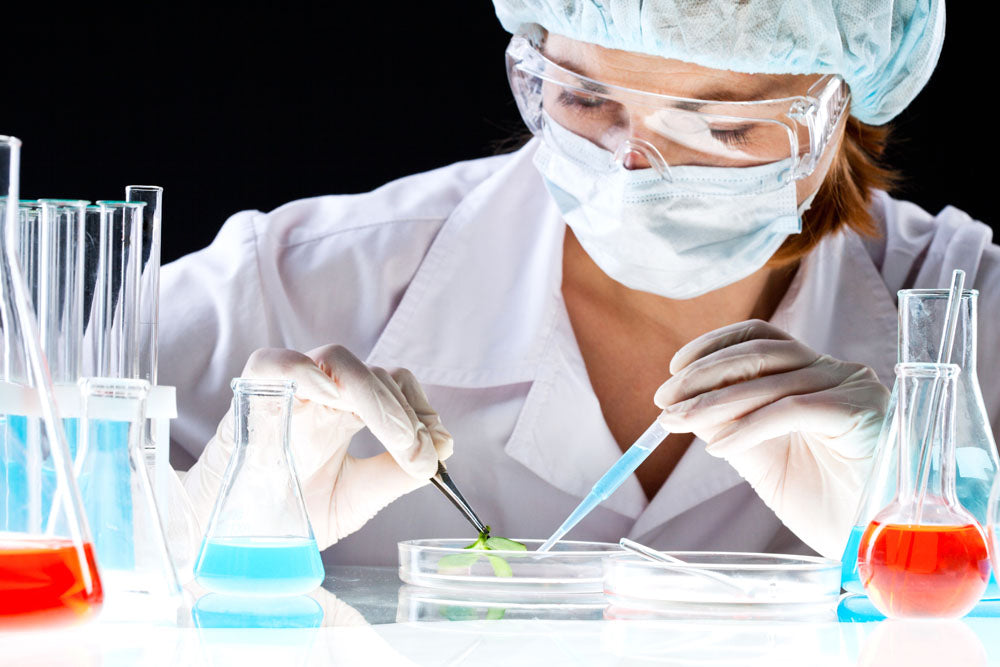 Service and Solution