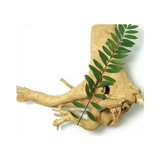 Eurycoma longifolia powder extract