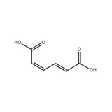 2,4-Hexadienedioic acid, (E,Z)-