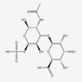 Chondroitin