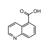 Quinoline-5-carboxylic acid